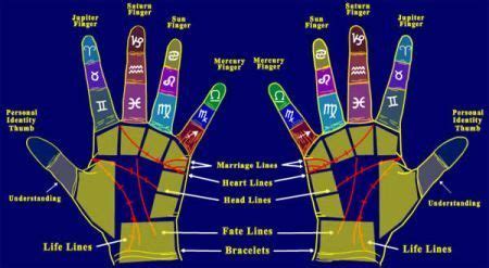 Colorful map of the palmistry lines. | Palmistry, Palm reading, Palmistry reading