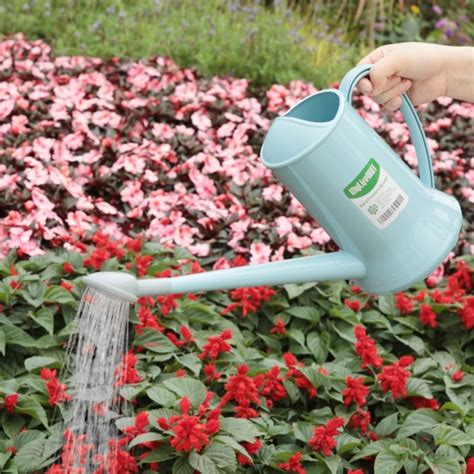 Watering Can for Indoor Plants, Plastic Small Watering Can with Sprinkler Head (1/2-Gallon ...