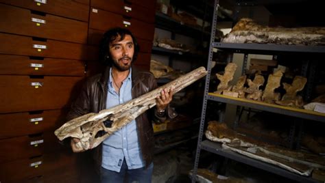 Prehistoric Crocodile Fossils Dated 7 Million Years Discovered In Peru. - Asiana Times