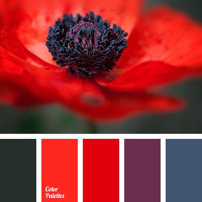 deep red | Color Palette Ideas