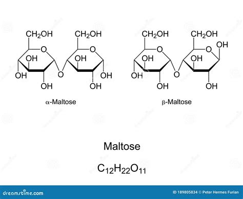 Maltose, Also Malt Sugar or Maltobiose, Chemical Structure and Formula Stock Vector ...