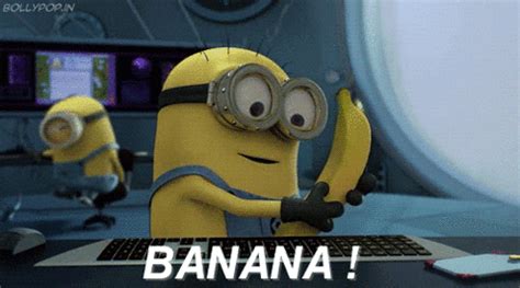 Brksedu Banana GIFs - Find & Share on GIPHY