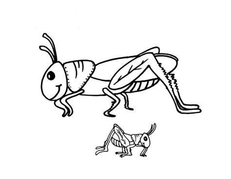 Free The Ant And The Grasshopper Coloring Pages, Download Free The Ant ...