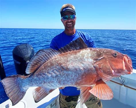 Red Grouper Fishing Cape Coral - Blue Line Fishing Charters, LLC