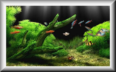 Free download DREAM AQUARIUM Wallpaper Download 935 HD Desktop ...