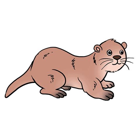 How to Draw an Otter - Really Easy Drawing Tutorial