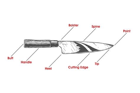 Anatomy of a Chef Knife – santokuknives