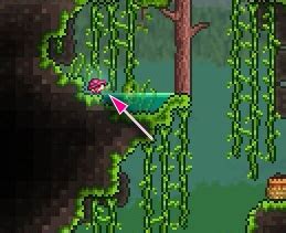 Dove trovare Mystic Frogs in Terraria | Giocare Ora: Guida, Notizie E Recensioni Per Giochi ...