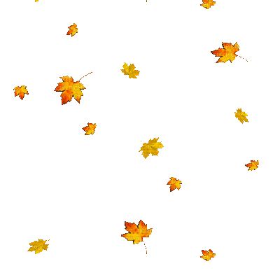 Leaves Falling Transparent Gif Free Transparent Falling Leaves Gif | My ...