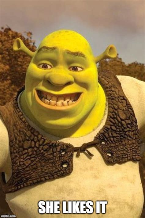 smiling shrek Memes & GIFs - Imgflip