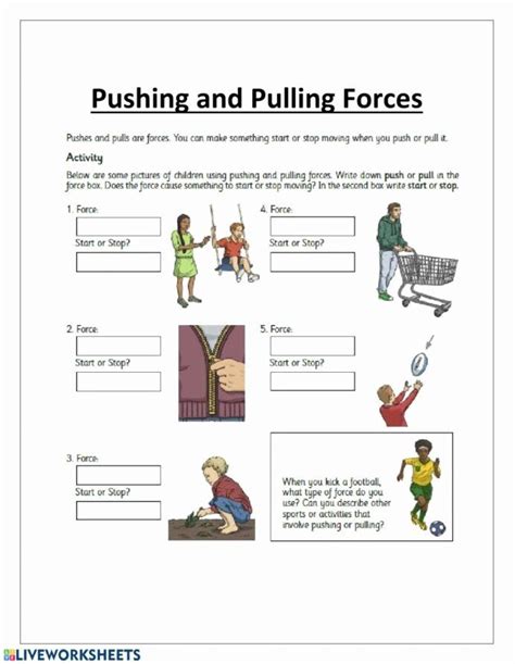 Push And Pull Factors Activity