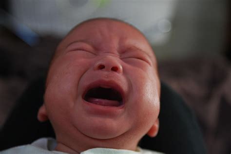 Do babies cry at night to prevent their parents from having more kids? - Vox