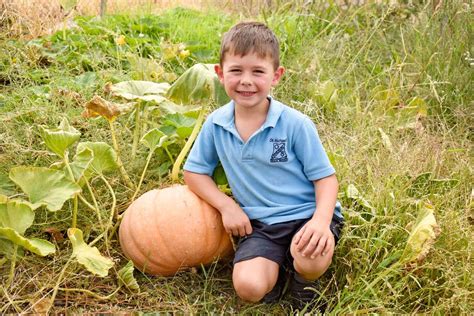 Giant pumpkin competition goes ahead | Deniliquin Pastoral Times