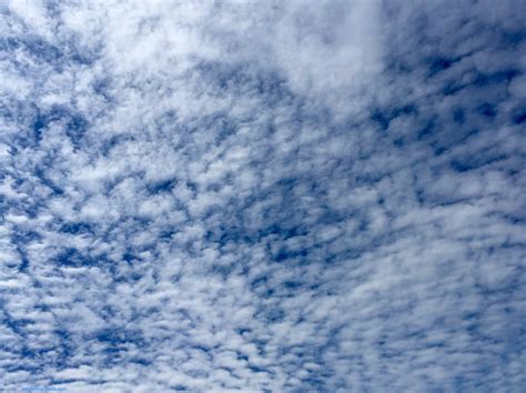 Fascinating Clouds altocumulus clouds | Fascinating Clouds