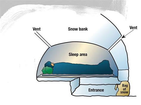 How to Build a Snow Cave | Camping survival, Wilderness survival skills, Survival skills