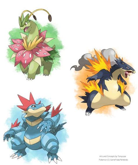 Johto Mega-Evolution Concept Art Nintendo Pokemon, Pokemon Funny, All Pokemon, Pokemon Remake ...