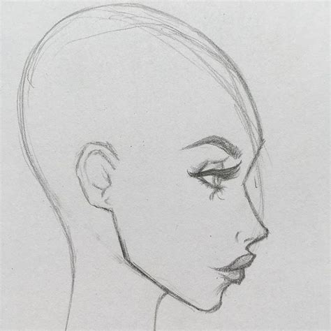 Head Profile Drawing