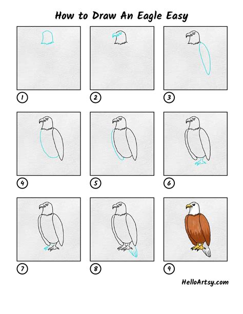 How To Draw A Eagle