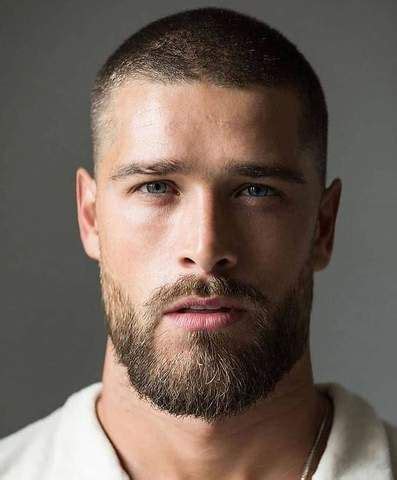 8+ Fine Beautiful Mens Hairstyles Crew Cut With Beard