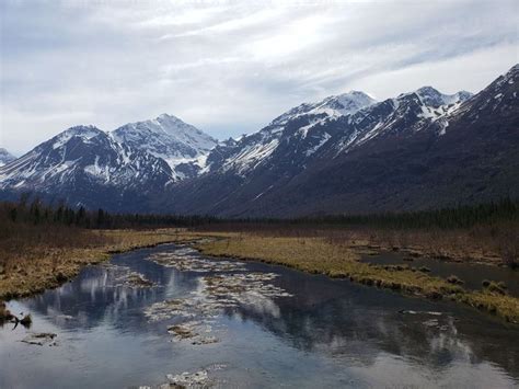 Take This Fall Hike In Alaska To See The Leaves Changing