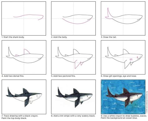 How To Draw A Shark Shark Art Shark Drawing Animal Drawings | Images ...