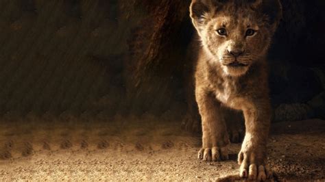 The Lion King Simba 2019 4k, HD Movies, 4k Wallpapers, Images ...