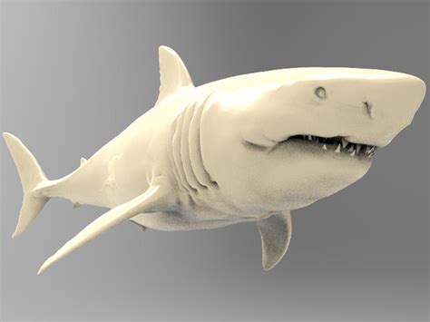 Print great white shark 3D model - TurboSquid 1571336