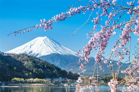 Tempat Wisata di Jepang yang Populer, Sajikan Pemandangan Alam dan Budaya yang Khas