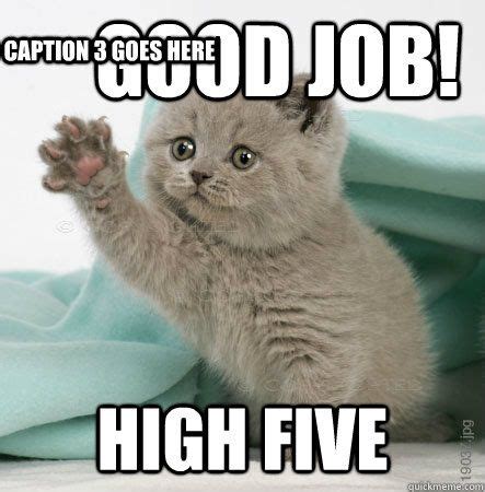 Good job! High five Caption 3 goes here | Cute cat memes, Funny cat memes, Funny animals