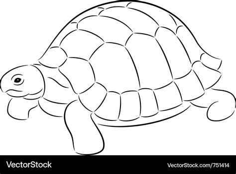 Tortoise Royalty Free Vector Image - VectorStock