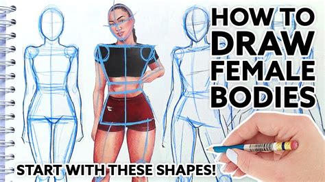 Drawing Female Body Types