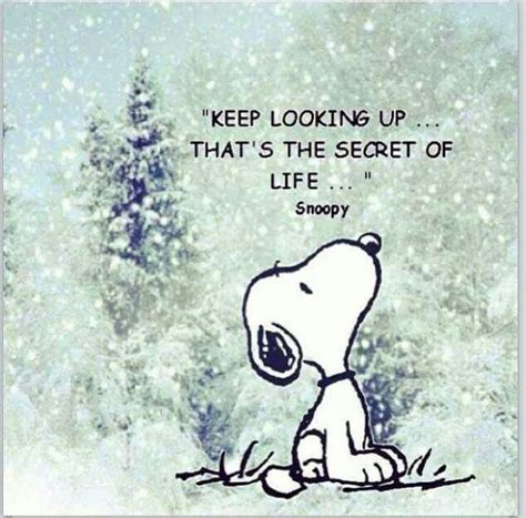 Snoopy Inspirational Quotes. QuotesGram