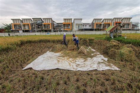 Kementerian ATR/BPN Merevisi Penetapan Lahan Sawah Dilindungi