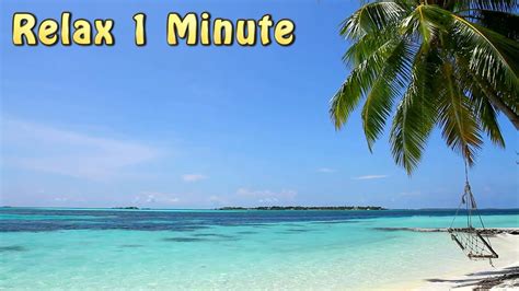 Relax 1 min - Tropical Beach Relaxing Music - YouTube