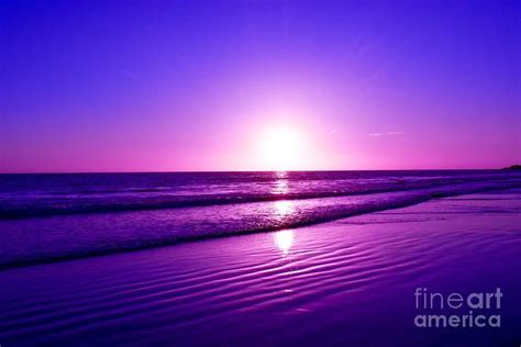 Majestic purple sunset Photograph by Rachelle Celebrity Artist - Pixels