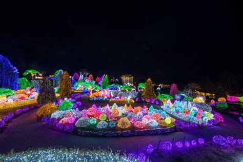 Best Winter Festivals of South Korea | KoreaTravelPost