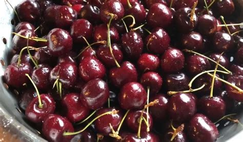 Cherry Beer Recipe - BrewingCrafter