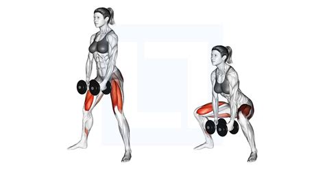 Dumbbells Sumo Squat - Guide, Benefits, and Form