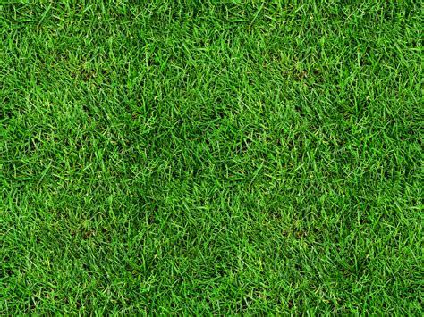 Seamless Grass Texture Free (Nature-Grass-And-Foliage) | Textures for Photoshop