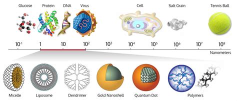 Size-comparison-Bio-nanoparticles nanometer scale comparison nanoparticle size comparison ...