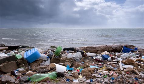 End Plastic Pollution - Friends of the Earth Scotland