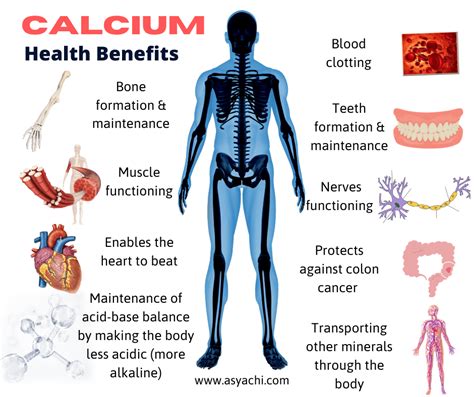 Calcium Health Benefits - Asya Chi | Author & Holistic Health Therapist