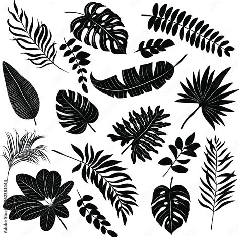 palm leaves set black and white vector illustration Stock Vector ...