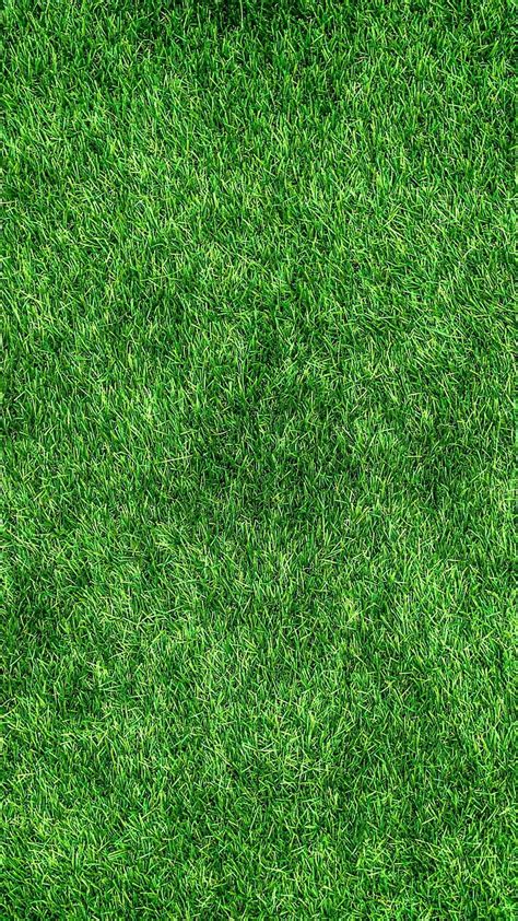 97 Background Green Grass Images - MyWeb