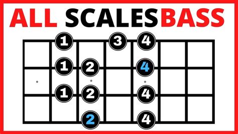 Bass Scales Chart A Free Printable Bass Guitar Scales