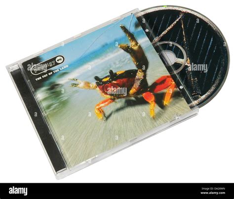 Prodigy The Fat of the Land album on CD Stock Photo - Alamy