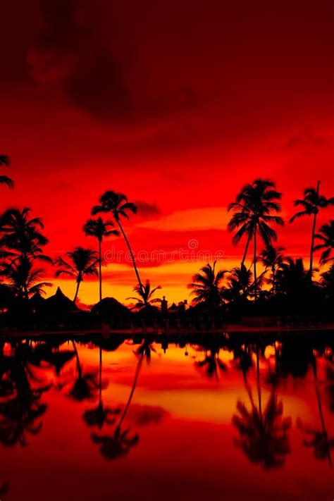 Orange and Red Sunset Over Sea Beach with Palms Stock Photo - Image of ...