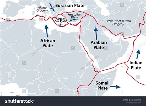 101 African Eurasian Plate Images, Stock Photos & Vectors | Shutterstock