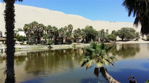 THE 10 BEST Hotels in Huacachina, Peru 2024 (from $31) - Tripadvisor