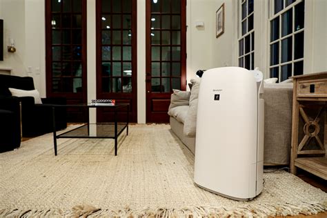 Does Your Large Room Have an Air Purifier? - Simply Better Living